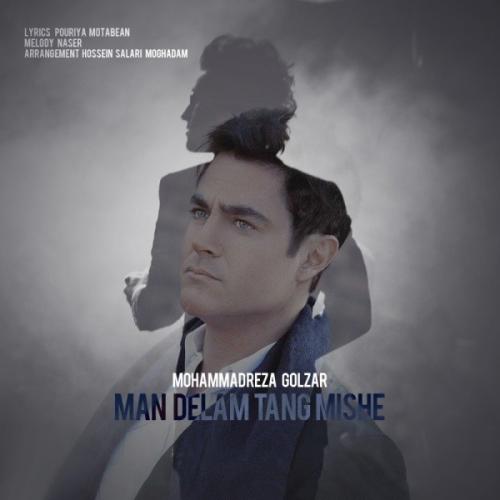 دانلود آهنگ جدید محمدرضا گلزار با عنوان من دلم تنگ میشه